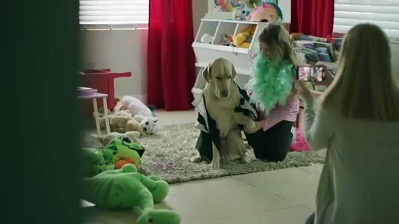 ＂Micky＂ ｜ Dogs Inc