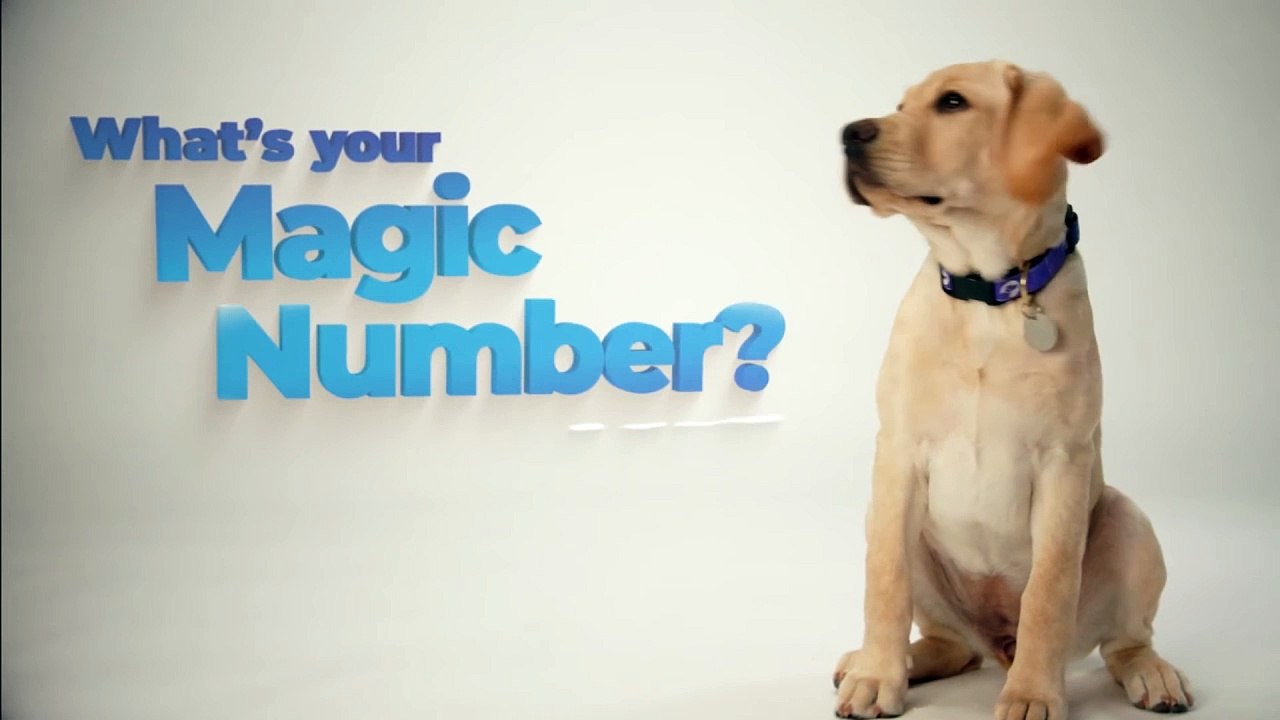 What's Your Magic Number？ Become a Puppy Raiser for Dogs Inc