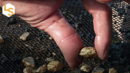 Is There Excess Gold in the Universe? Unraveling the Cosmic Mystery ✨