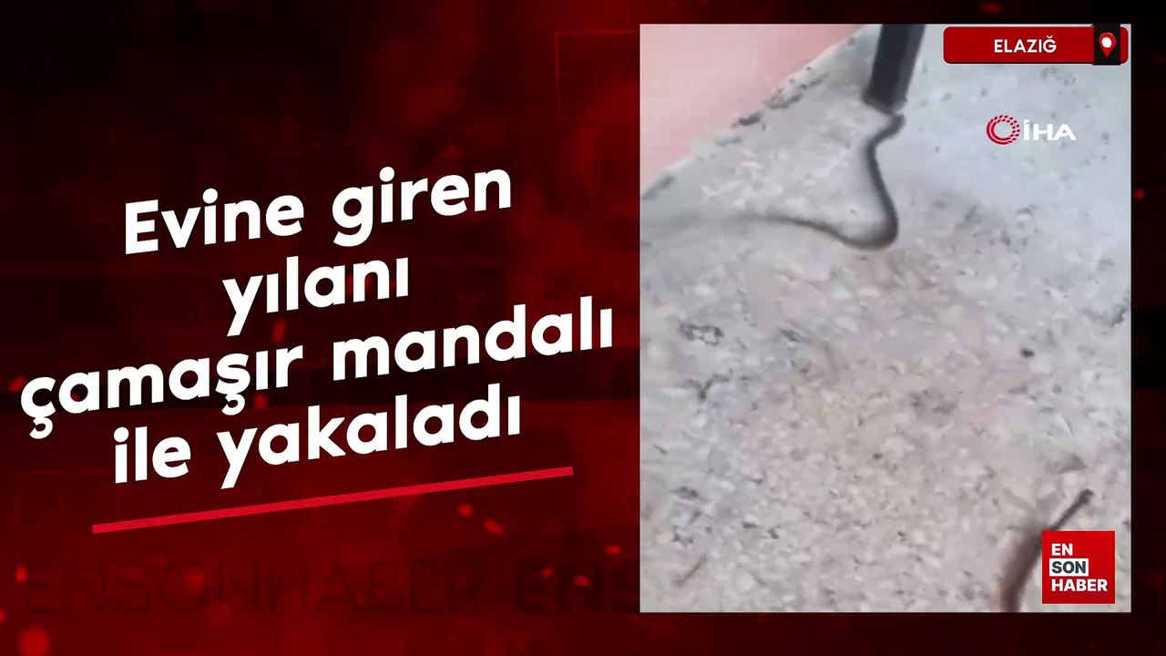 Elazığ'da evine giren yılanı çamaşır mandalı ile yakaladı