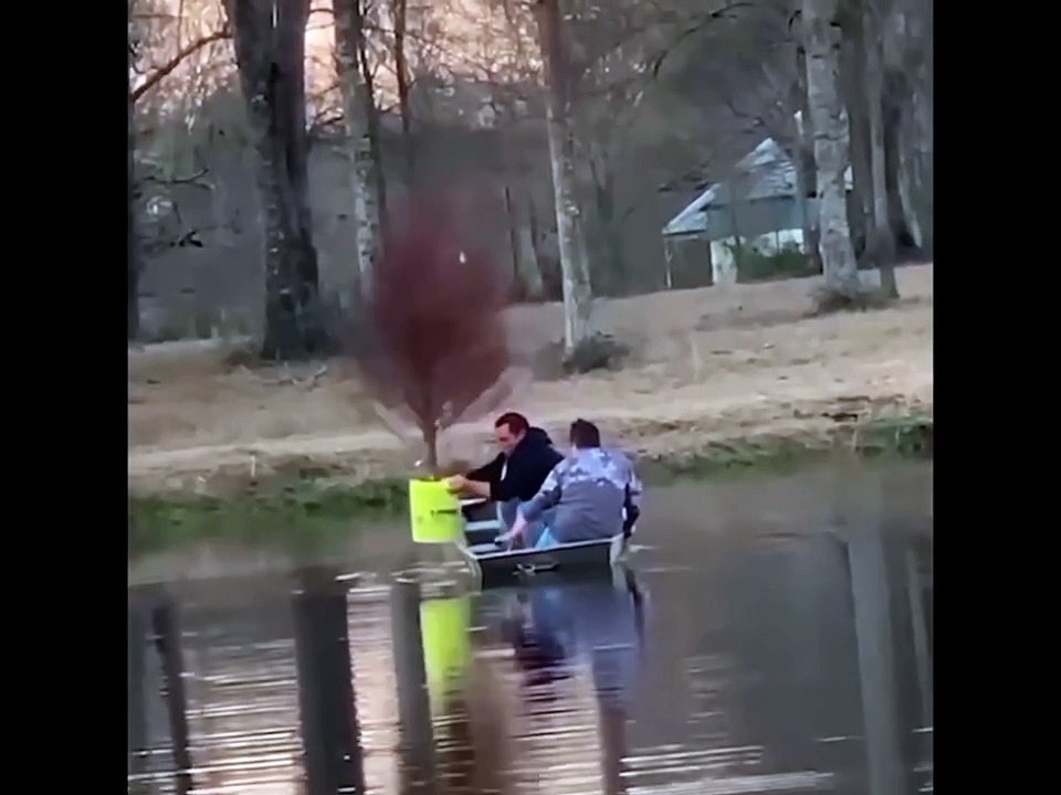 Funny video #funny #viral #trending #comedy #sh...