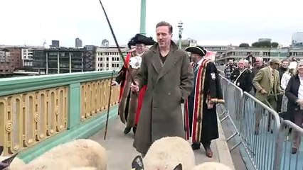 Hollywood star herds sheep over city of London bridge