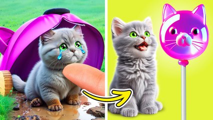 Ne pleure pas petit chaton, je vais te sauver ! Gadgets et astuces intelligents pour animaux