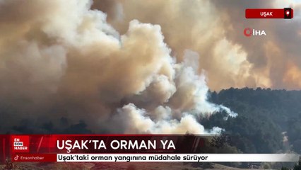 Uşak'taki orman yangınına müdahale sürüyor
