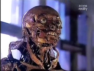 Beyond Bizarre - Fragonard Museum