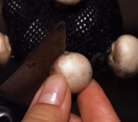 Easy tips to grow mushrooms indoors!