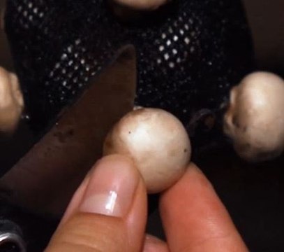 Easy tips to grow mushrooms indoors!