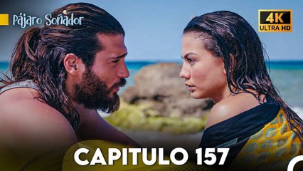 Pájaro Soñador Capítulo 157 (Doblado En Español 4K)