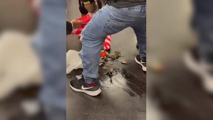 Swarm of live crabs escape from bag on New York subway causing chaos