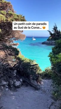 Une magnifique crique au sable fin Tous nos bons plans à retrouver en bio ! ❤️‍ Abonne-toi au Petit Mauda pour plus d'inspiration ! ©️ Crédit : @lesclichesdana #petitmauda #guide #pepite #anepasmanquer #corsesud #corse #corsica #vacanc