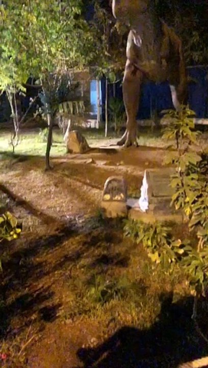 Sefari park