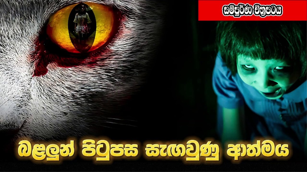 බළලුන් පිටුපස සැඟවුණු ආත්මය The Cat 2011 සිංහල උපසිරස සමග Full