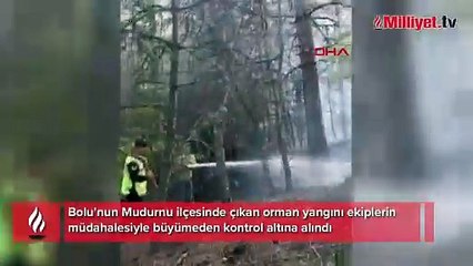 Bolu'da çıkan orman yangınını ekipler büyümeden kontrol altına aldı
