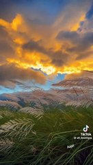 Abhi mujh main kahin...