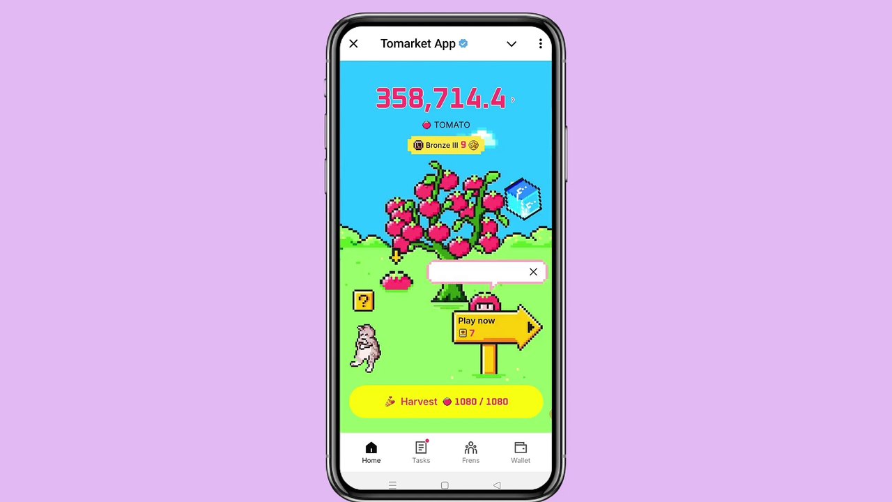 29 September Secret Code Tomarket _ Tomarket Secret Combo Today _ Today Market Daily Secret Code