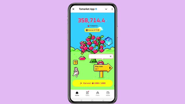 29 September Secret Code Tomarket _ Tomarket Secret Combo Today _ Today Market Daily Secret Code