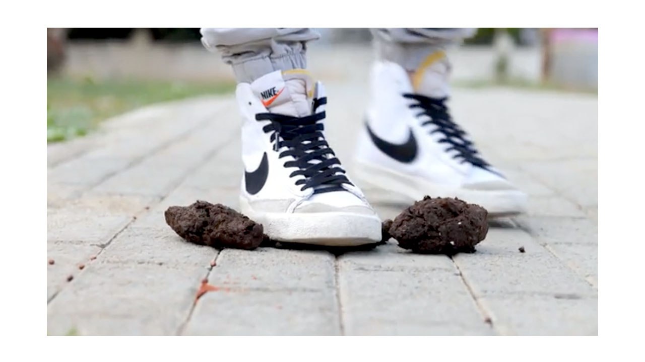 INTRO cat poop