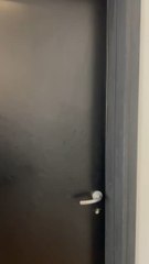 On connait tous ce collègue