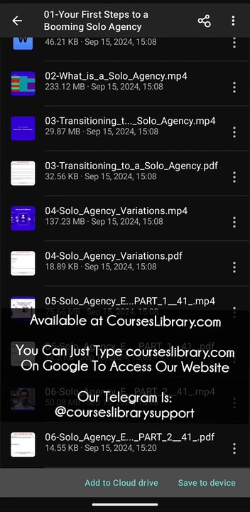 Pait Digital - Solo Agency Blueprint Course Download