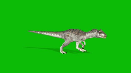 alosaurus dinasour green screen video 4K