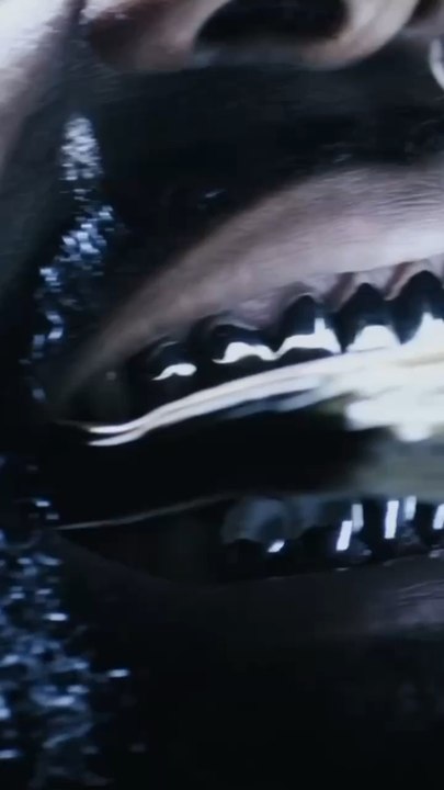 Kaaris sortait ce banger il y a 10 ans…