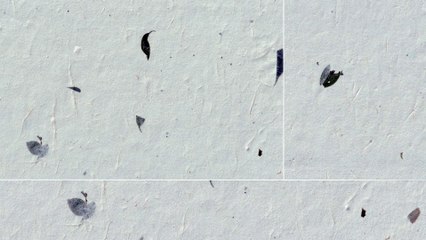 20 Green Leafs Paper Textures