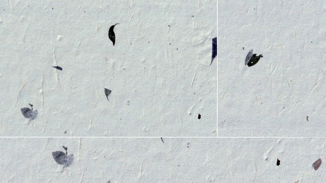 20 Green Leafs Paper Textures