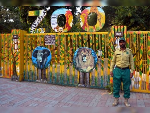 Lahore Zoo Tour - Witnessed animals living here , Hayyan's First Zoo Visit