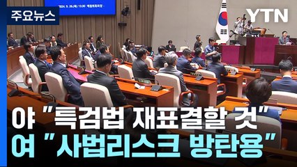 "김 여사 방탄 총동원" vs "정권 퇴진 명분 쌓기" / YTN