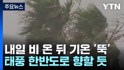 [날씨] 내일 비 온 뒤 '기온 뚝'...주 후반 태풍 근접, 남부 비바람·해상 너울 / YTN