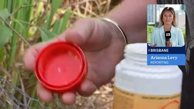 The spread of fire ants could cost QLD an estimated $188 million