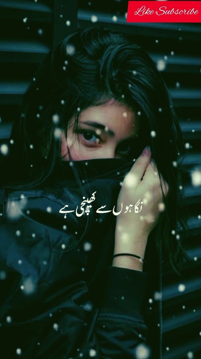 Nigahon se khnchi tesweer ma ny_20240930_092823306