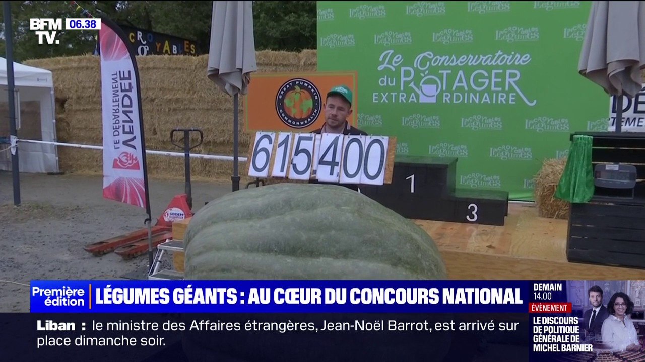 Avec 615kg, le record de la plus grosse courge squash de France battu lors du concours de gros légumes à la Roche-sur-Yon