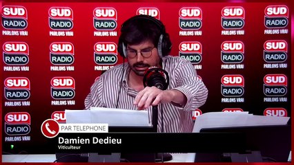 Fortes pluies en Gironde : les viticulteurs inquiets