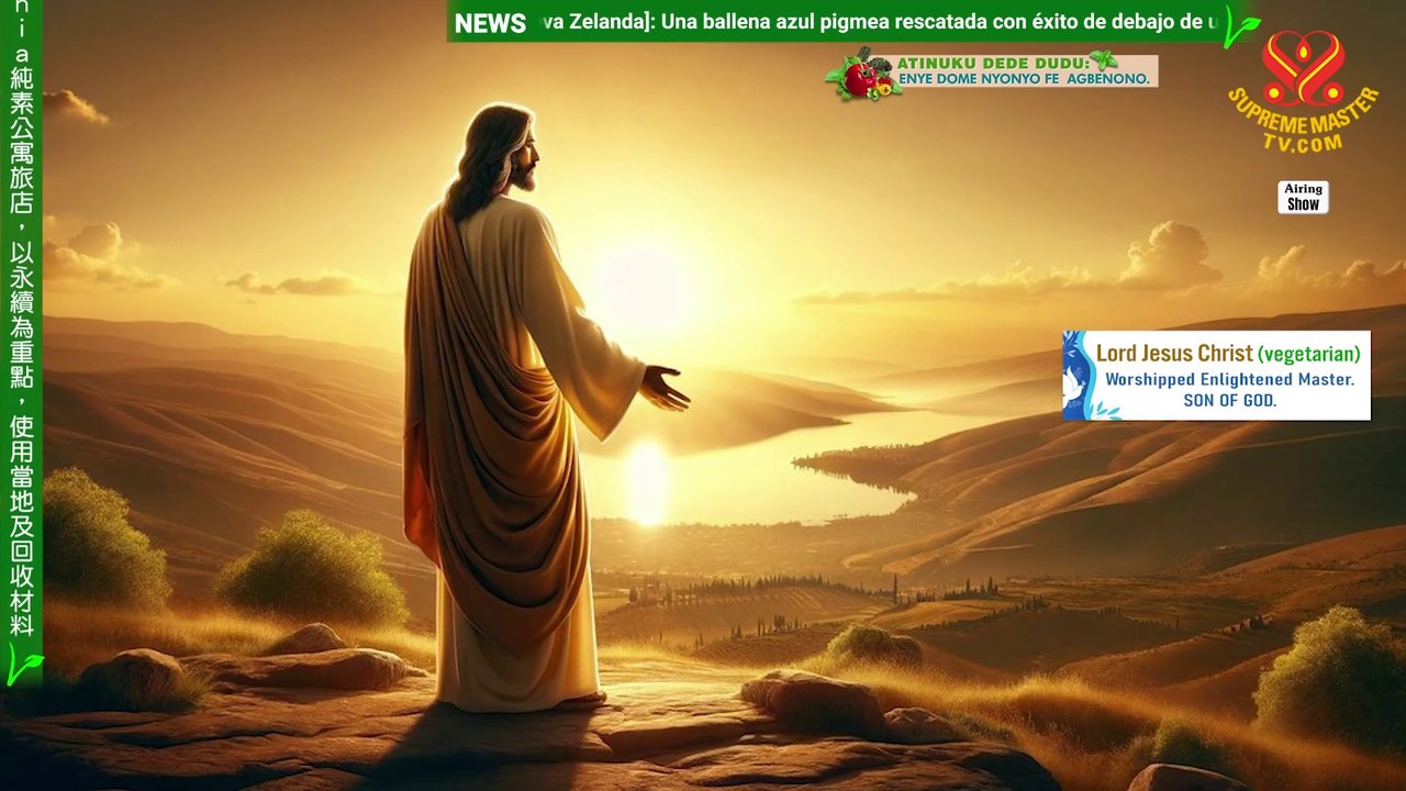 We Are All the Children of God! The Peaceful Bonds of Jews and Arabs, Part 2
