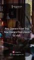 New Zealand Best places to visit | Voyagefox