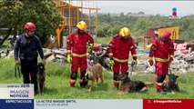 Binomios caninos se preparan en la Unidad Canina de Búsqueda y Rescate de la UNAM