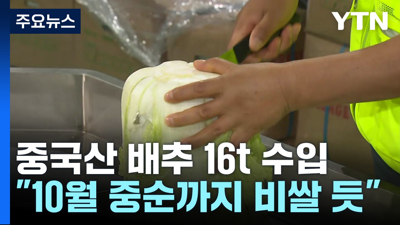 중국산 배추 초도물량 16톤 aT 이천비축기지에서 공개 / YTN