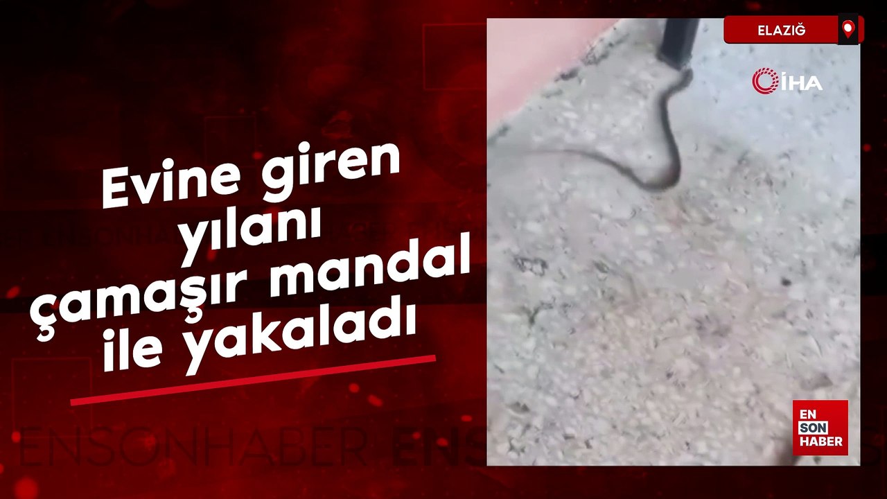 Elazığ'da evine giren yılanı çamaşır mandalı ile yakaladı