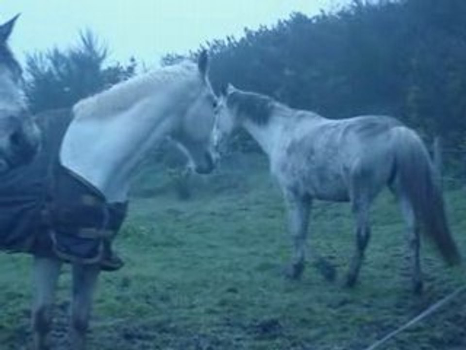 Changement de champs pour Dason