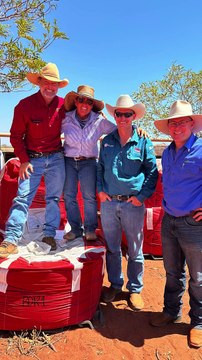 2024 KPCA Livestock Handling Cup at Sandfire Roadhouse, WA | Farm Weekly