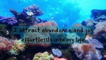 30 Best Affirmation - Brighten your day with Positive Affirmations