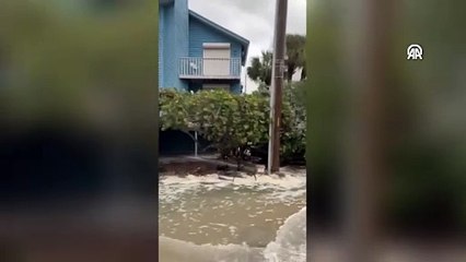 Helene Kasırgası'nda can kaybı artıyor