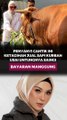 Penyanyi Cantik Ini ketagihan Jual Sapi Kurban Usai Untungnya Saingi Bayaran Manggung