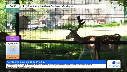 30/09/2024 - ICI Matin France Bleu Gironde en vidéo