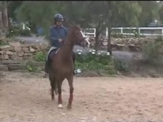 one rein stop bucking horse