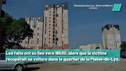 Un Jeune Homme Torturé et Mordu par un Chien