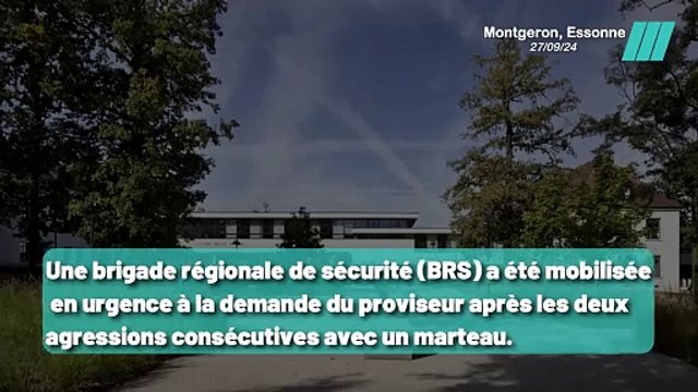 La Terrifiante Scène du Lycée Rosa Parks à Montgeron