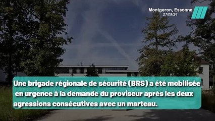 La Terrifiante Scène du Lycée Rosa Parks à Montgeron