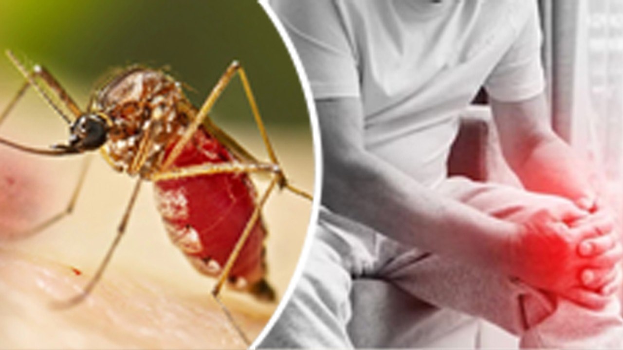 Chikungunya Virus Causes, Symptoms, Joint Pain Treatment In Hindi| Boldsky